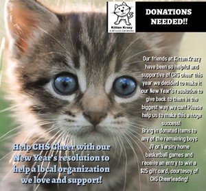 Help CHS cheerleaders support Kitten Krazy
